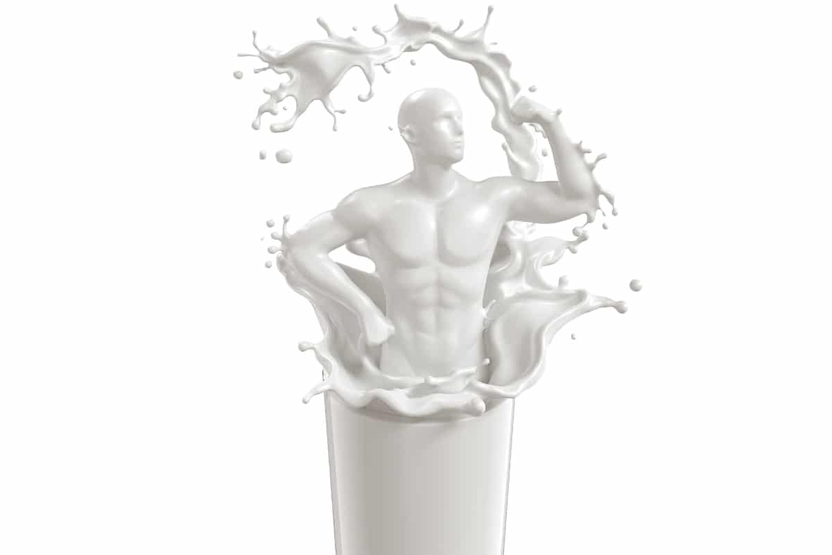 the GOMAD Diet for muscle building - YES or NO ?