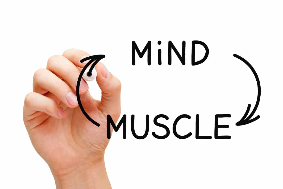 mind to muscle connection