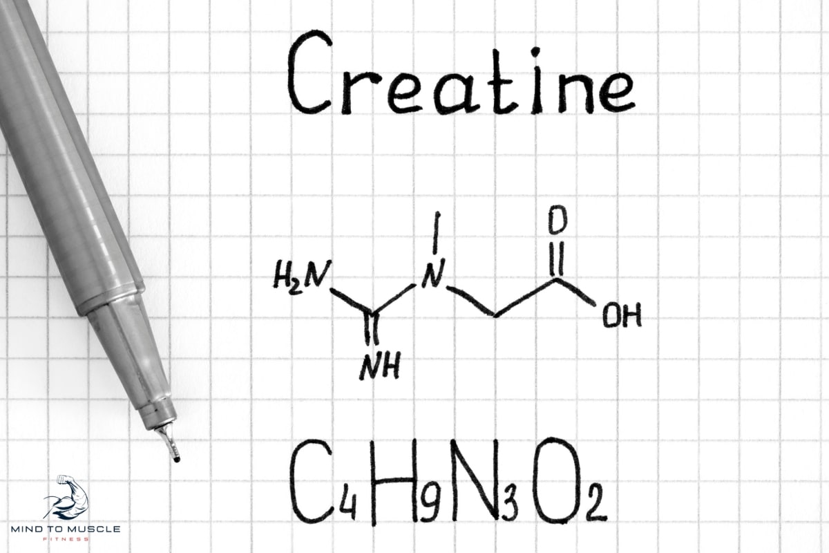 creatine for muscle growth