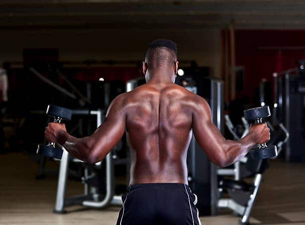 erector spinae muscles workout