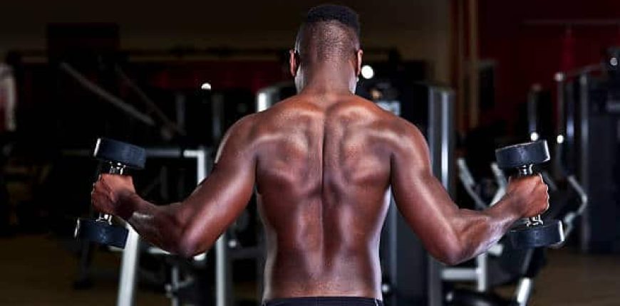 erector spinae muscles workout