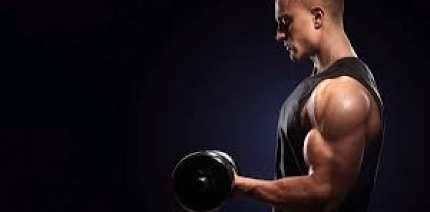 isometric bicep curl