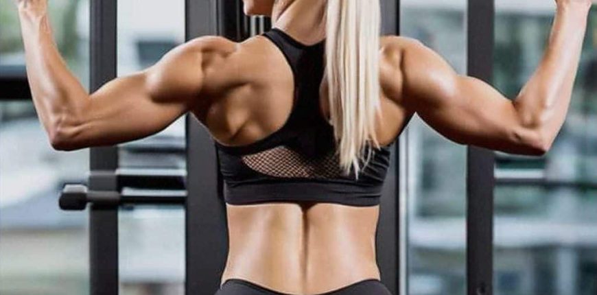 The Best Back Exercises